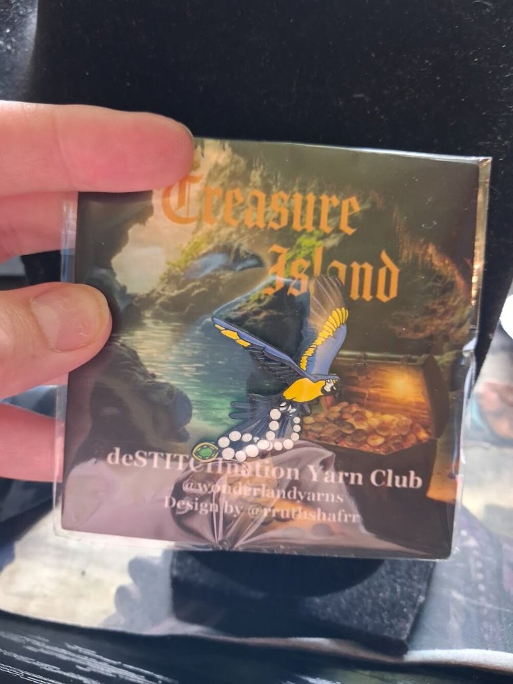 Pirate Parrot pin